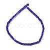 Handmade Lampwork Beads Strands LAMP-Q037-02B-07-2