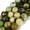 Natural Serpentine Beads Strands G-Q616-07D-2