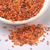 MIYUKI Delica Beads SEED-X0054-DB2062-1