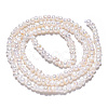 Natural Cultured Freshwater Pearl Beads Strands PEAR-N015-02C-6