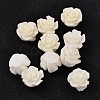 Resin Beads X-RESI-B3455-A01-1
