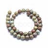 Natural Aqua Terra Jasper Beads Strands G-N0128-48-10mm-2