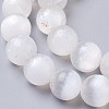 Natural Selenite Beads Strands G-I203-C-6mm-5