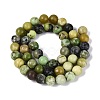Natural Serpentine Beads Strands G-Q616-07C-3