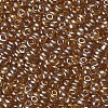 6/0 Glass Seed Beads SEED-A006-4mm-102C-2