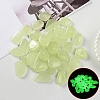 Resin Luminous Glow in the Dark Pebbles Stone PW-WG30806-07-1