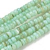 Dyed Natural Freshwater Shell Beads Strands BSHE-G039-07E-1