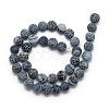 Natural Weathered Agate Bead Strands G-S237-10mm-05-2