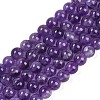Natural Amethyst Beads Strands G-S333-6mm-020-5