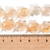 Inner Flower Handmade Lampwork Beads Strands LA-CBA3F7A-01B-4