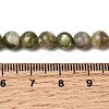 Natural Green Lepidolite Beads Strands G-K350-B01-6mm-5