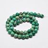Natural Imperial Jasper Beads Strands G-I122-8mm-05-3