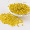 8/0 Glass Seed Beads X-SEED-A005-3mm-30-1