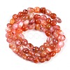 Natural Red Agate Beads Strands G-P497-01B-11-3