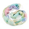 1 Skein Gradient Segment Dyed 80% Wool 20% Acrylic Blended Yarn OCOR-TA0003-02D-3