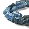 Natural Apatite Beads Strands G-N327-06-27-4