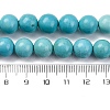 Dyed Natural Magnesite Beads Strands G-P558-A01-01B-5