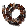 Natural Agate Beads Strands G-F745-12-3