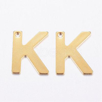304 Stainless Steel Charms STAS-P141-K-1