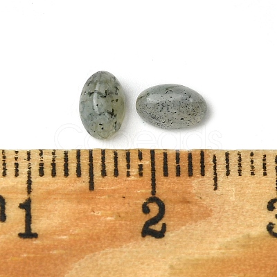 Natural Labradorite Cabochons G-A094-01A-11-1