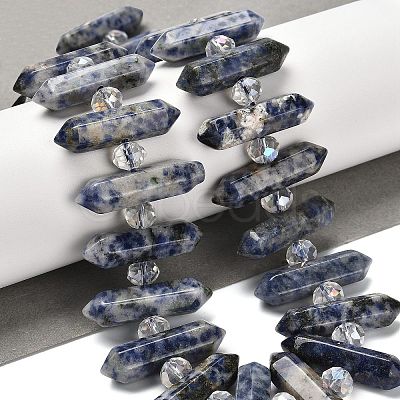 Natural Blue Spot Jasper Double Terminated Point Beads Strands G-H069-B10-01-1