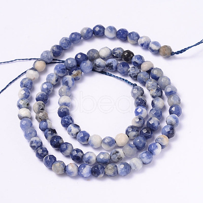 Faceted Natural Sodalite Round Bead Strands G-L377-45-4mm-1