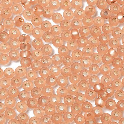 8/0 Glass Seed Beads SEED-Z001-C-E10-1