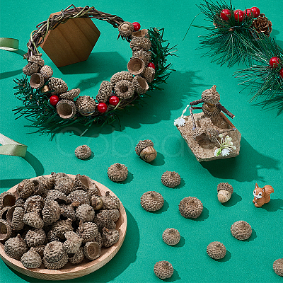 200Pcs Wood Acorn for Display Decorations AJEW-PH0008-19-1