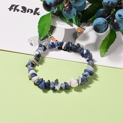 Natural Sodalite Chip Beads Stretch Bracelets BJEW-JB05765-03-1