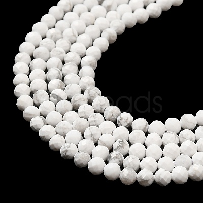 Natural Howlite Beads Strands G-E608-A01-B-1