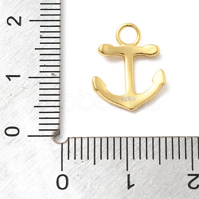 925 Sterling Silver Charms STER-Z012-04G-10-1