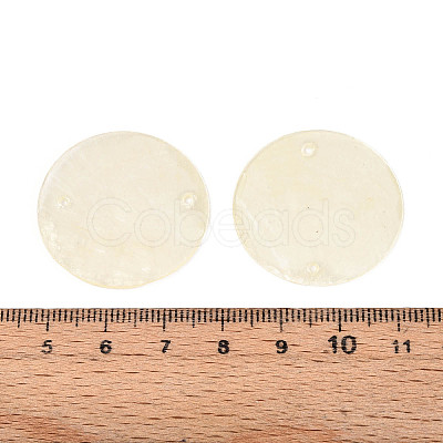 Spray Painted Natural Capiz Shell Disc Links Connector Charms SSHEL-T017-32H-1