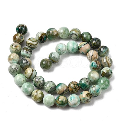 Natural Green Line Jasper Beads Strands X-G-L639-A01-6mm-1