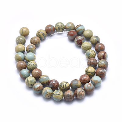 Natural Aqua Terra Jasper Beads Strands G-N0128-48-10mm-1