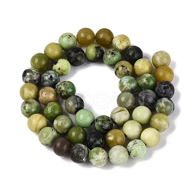 Natural Serpentine Beads Strands G-Q616-07C-1