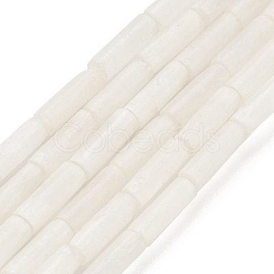 Natural Selenite Beads Strands G-K336-01-1