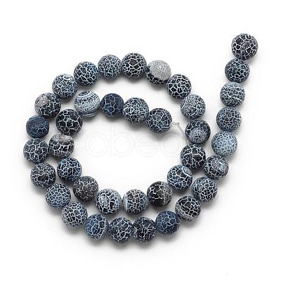 Natural Weathered Agate Bead Strands G-S237-10mm-05-1