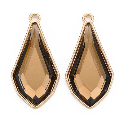 Faceted Glass Pendants PALLOY-N167-10-01LG-RS-1