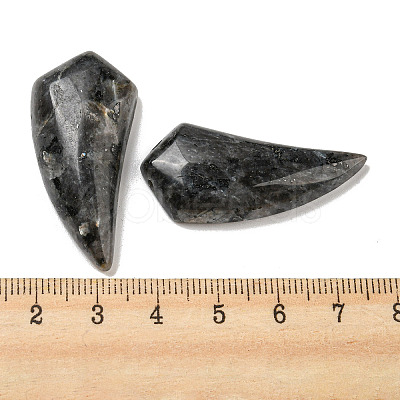 Natural Labradorite Pendants G-M417-04B-1