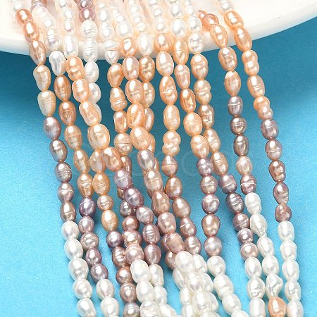 Natural Cultured Freshwater Pearl Beads Strands PEAR-C004-14A-1