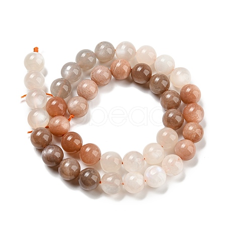 Natural Multi-Moonstone Beads Strands G-P503-10MM-04-1