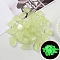 Resin Luminous Glow in the Dark Pebbles Stone, Vase Fillers, Nuggest, Light Green, 20~30mm