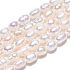 Natural Cultured Freshwater Pearl Beads Strands PEAR-N012-03I-4