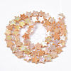 Freshwater Shell Beads Strands X-SHEL-N026-08C-2