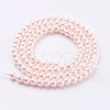 Eco-Friendly Dyed Glass Pearl Round Beads Strands HY-A002-4mm-RB091-2