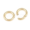 Brass Twister Clasp KK-Z146-04G-01-2
