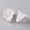 Transparent Acrylic Bead Caps PL551-2
