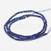 Natural Lapis Lazuli Beads Strands G-K182-2mm-04-2