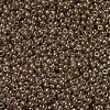 MIYUKI Round Rocailles Beads X-SEED-G007-RR0311-3
