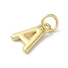 Rack Plating Brass Charms KK-P245-06G-A-2